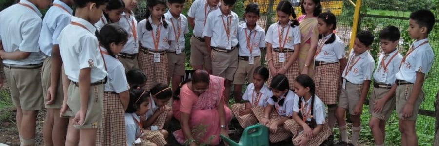 NUTRITION GARDEN AT SHEMFORD, PINJORE